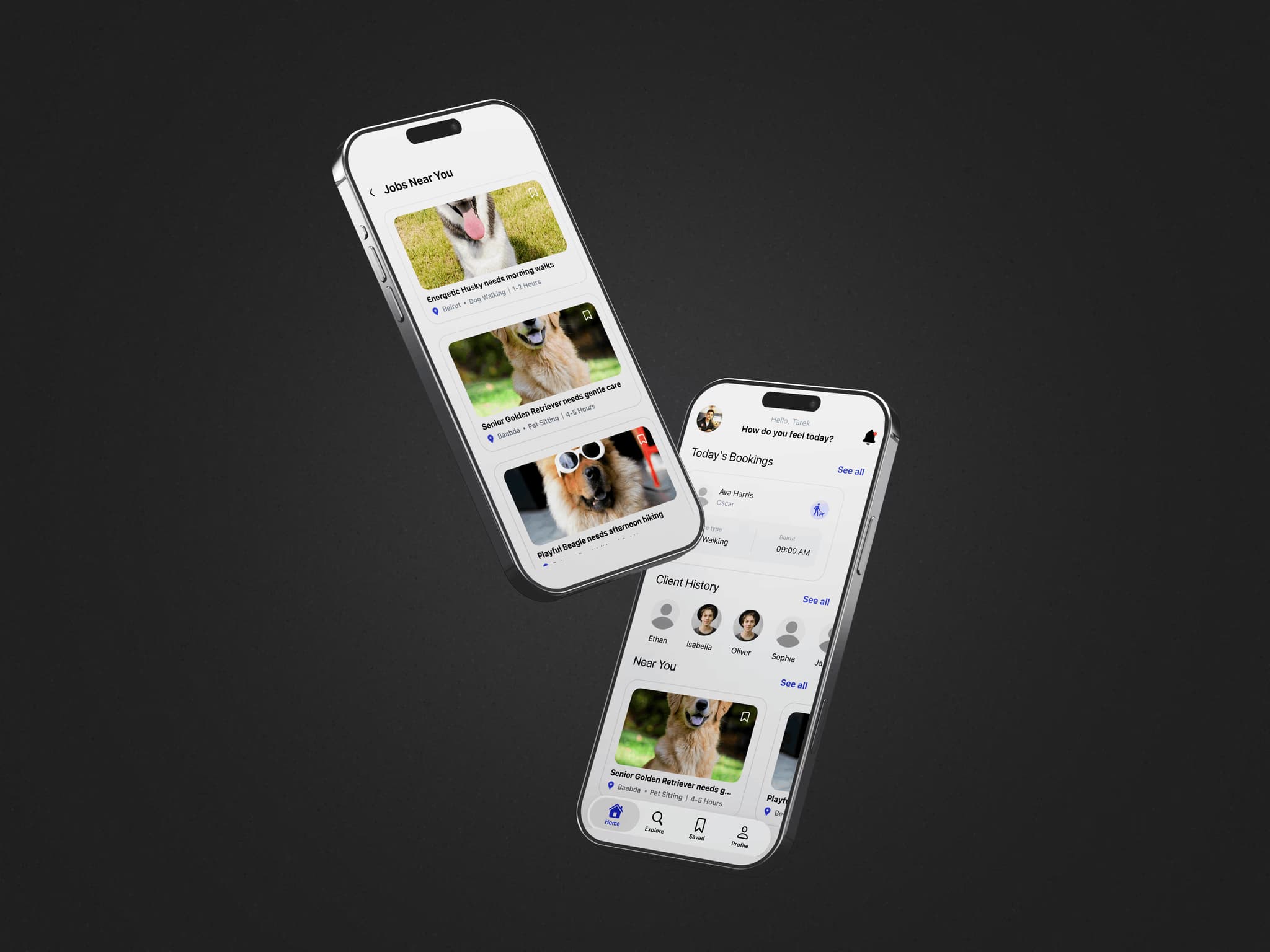 Sit My Pet – Pet Sitting Application